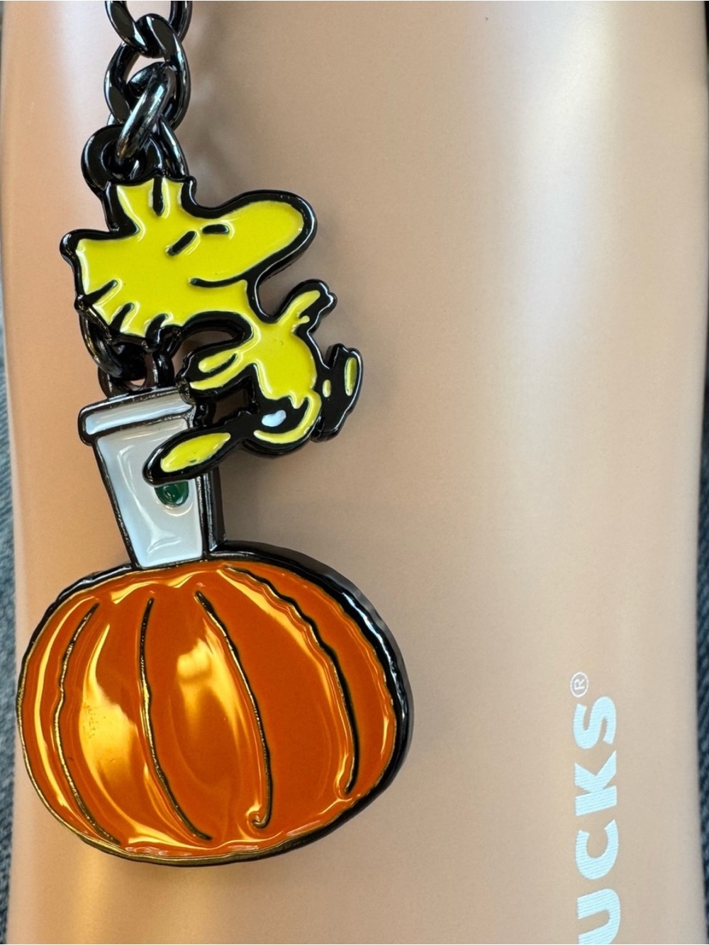 Authentic Starbucks x Peanuts Snoopy & Woodstock Orange Pumpkin Tumbler NWT - Picture 7 of 7